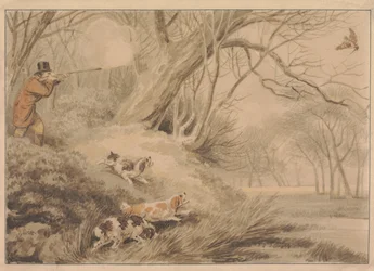 Chasse à la bécasse
