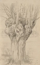Arbre noueux, 1884