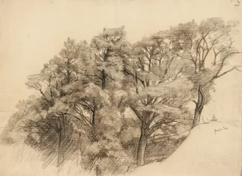 Paysage avec arbres, 1884