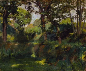 Paysage boisé