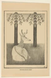Cerf Barasingha