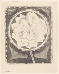 Rose (en cercle, avec bord ondulé)