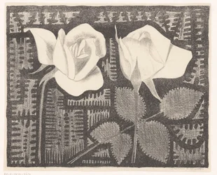 Deux roses