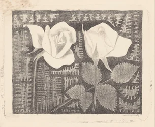 Deux roses