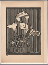 Arums