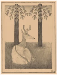 Cerf Barasingha