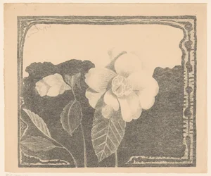 Camélia, à gauche une fleur en bouton