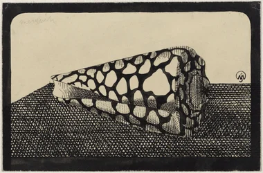 Coquillage, vers la gauche