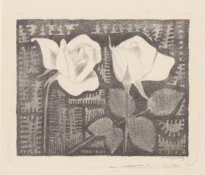 Deux roses
