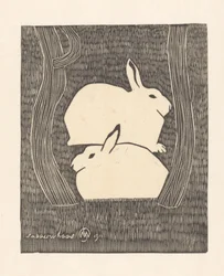 Deux lièvres des neiges