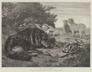 Sa première visite au troupeau, dans l