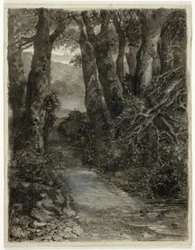 Étude de forêt