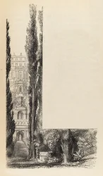Images d