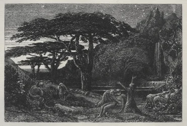 Le Bosquet de cyprès