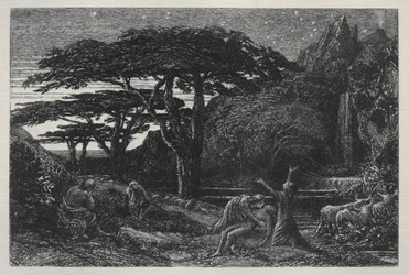 Le Bosquet de cyprès, 1883