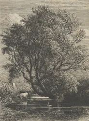 Le Saule, 1850