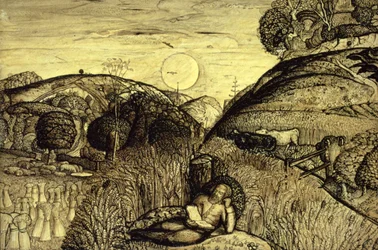 Vallée épaisse de maïs