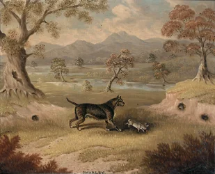 Charley, un Terrier avec un Lapin