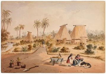 La ferme, Savu Bay, Fidji, 1870