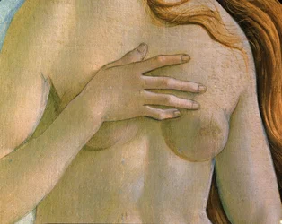 La naissance de Vénus