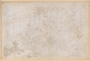 La Divine Comédie, Purgatoire XXXIII. Le Paradis terrestre : Béatrice au sein du cercle des vertus ; le départ ; le bain de Dante dans le fleuve Eunoe
