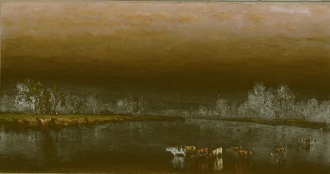 Vaches dans un étang au coucher du soleil
