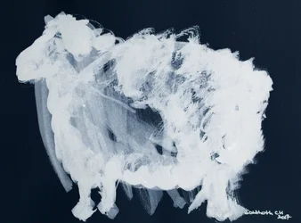 Résumé : « White Sheep »