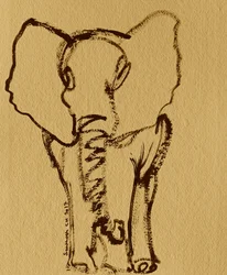 Esquisse d