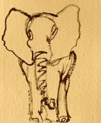 Esquisse d