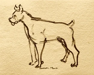 Croquis de chien boxer