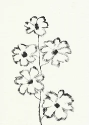 Croquis de fleur au fusain