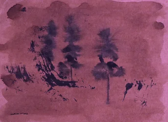 Sombre paysage forestier