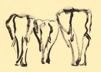 Croquis d