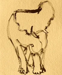 Dessin expressif d