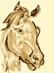 Tête de cheval expressive