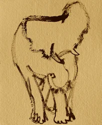Éléphant doux à l