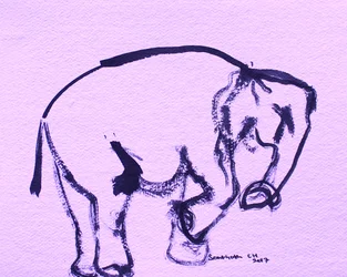 Doux éléphant à l