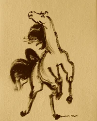 Cheval 24