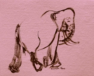 Image 2928