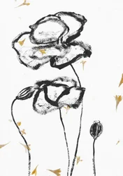 Coquelicots minimalistes au fusain
