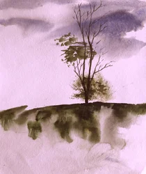 Arbre sur une colline aux allures mélancoliques