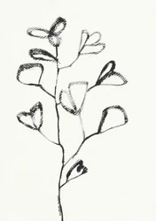 Dessin organique de feuille