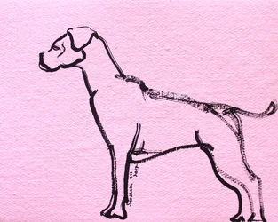 Dessin au trait de boxer rose