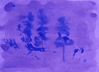 Pins dans la brume violette