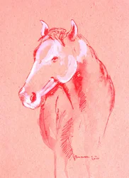 Esquisse de cheval rouge