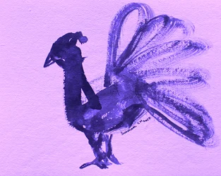 Paon violet majestueux
