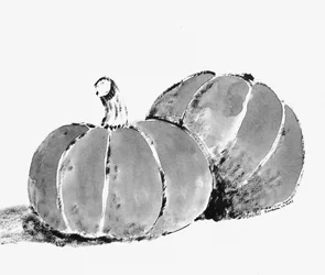 Citrouilles automnales rustiques