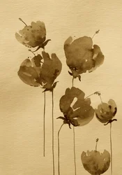 Fleurs à l
