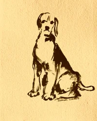 Chien assis à l