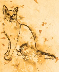 Chat sépia pensif